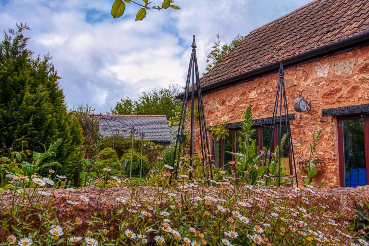 The Old Bookshop Bed & Breakfast Williton Exterior photo